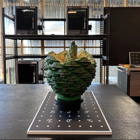 Bunya cone on a marked scanning turntable in the workshop