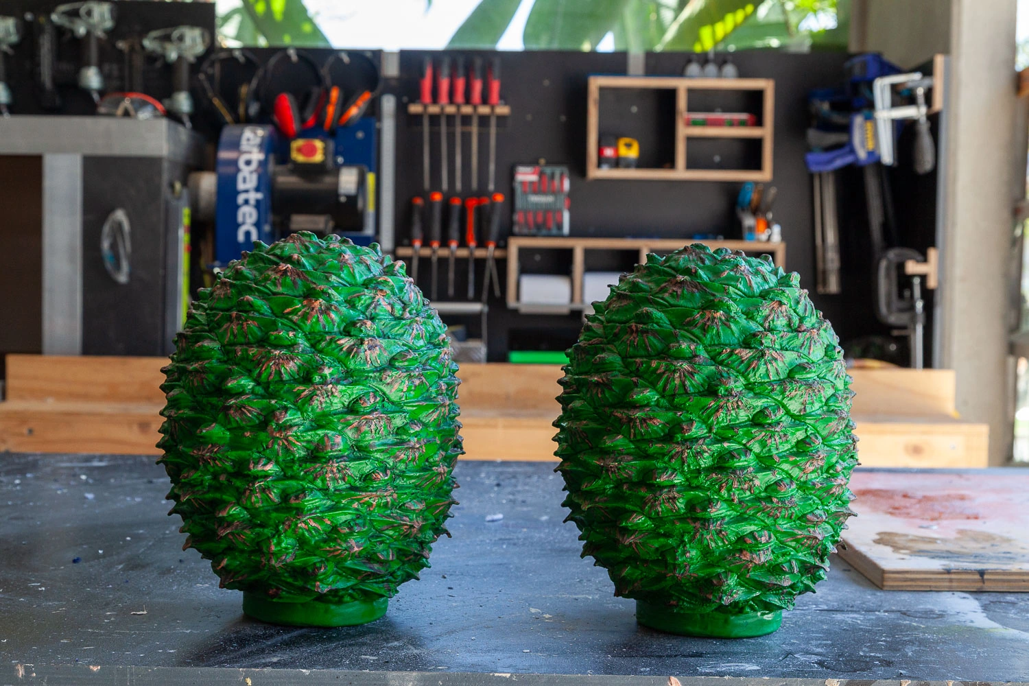 Two whole bunya cone forms side by side on the workshop bench