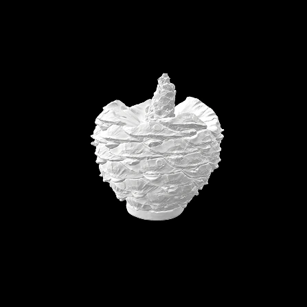 White digital scan of the same bunya cone