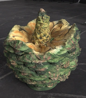 Textured digital model of the open bunya cone