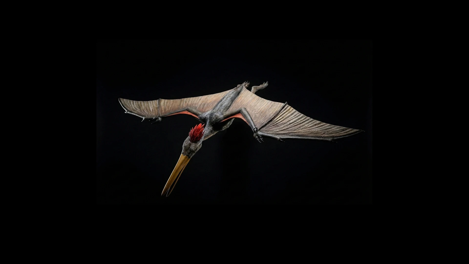 Finished pterodactyl exhibition sculpture with its wings extended