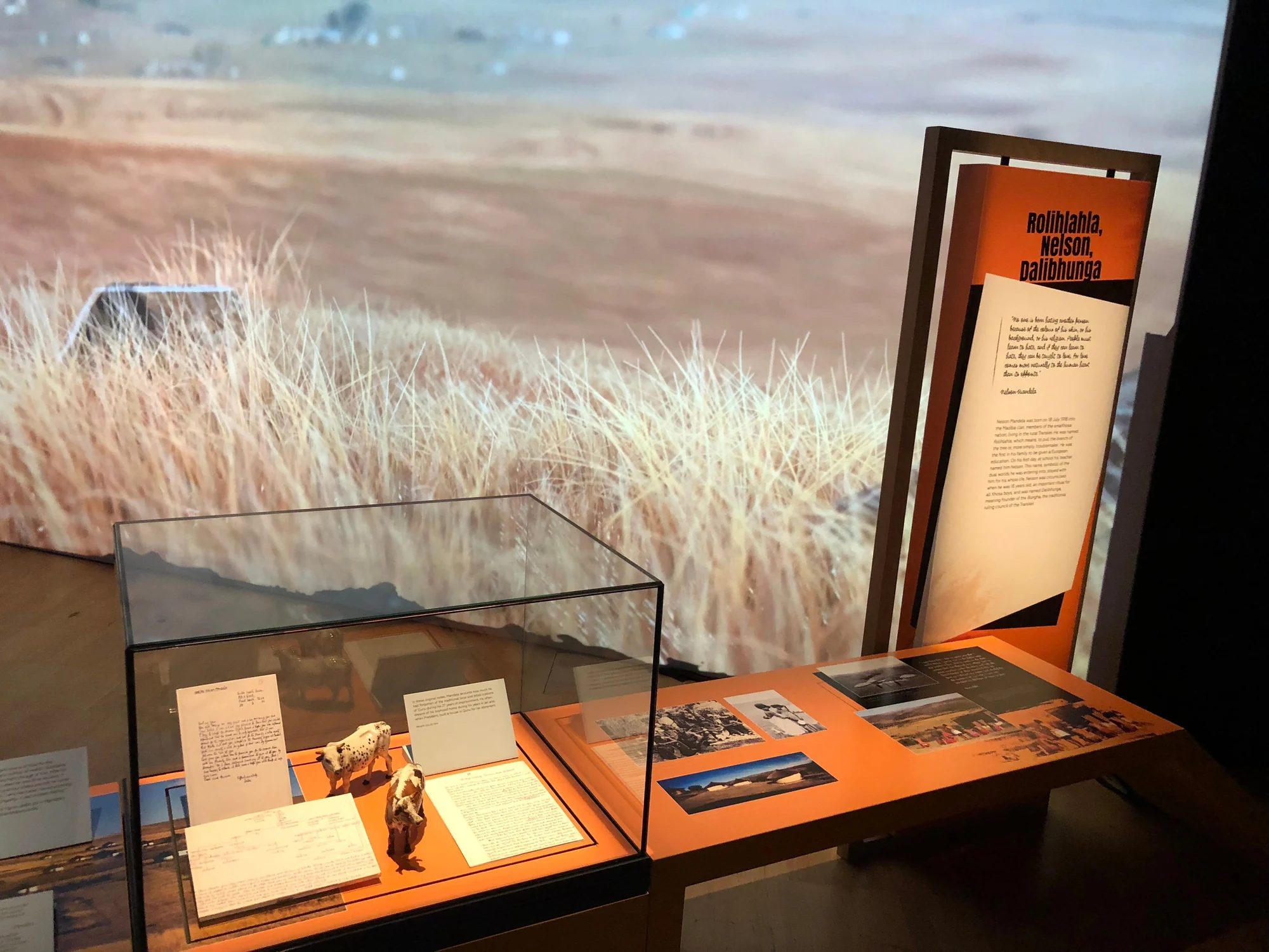 Spider display cases and interpretation panels against a large habitat photograph