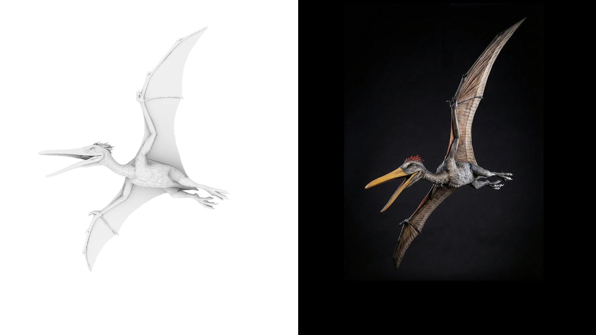 Pterodactyl