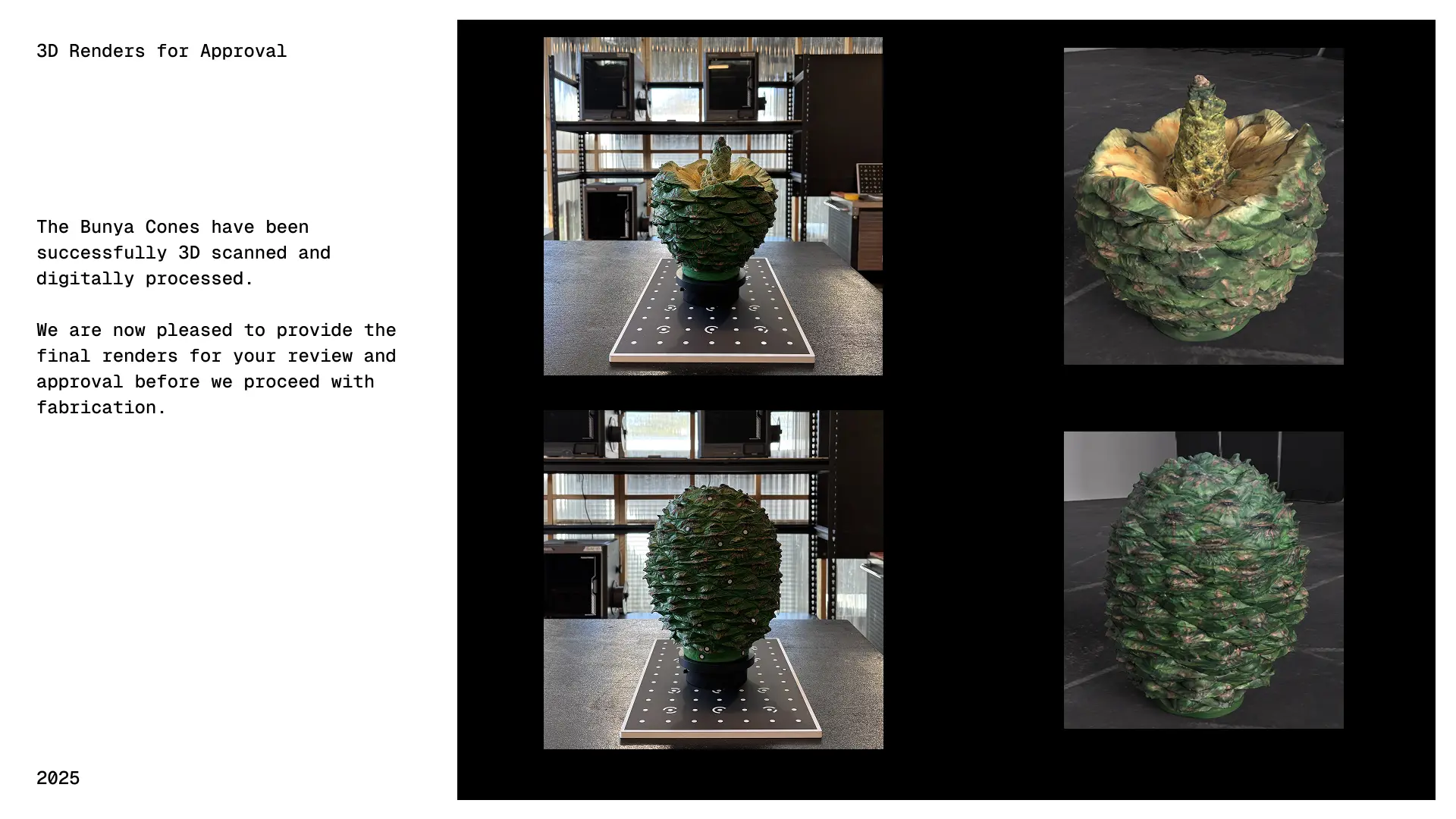 Bunya cone photographs and textured digital models in the design approval proof