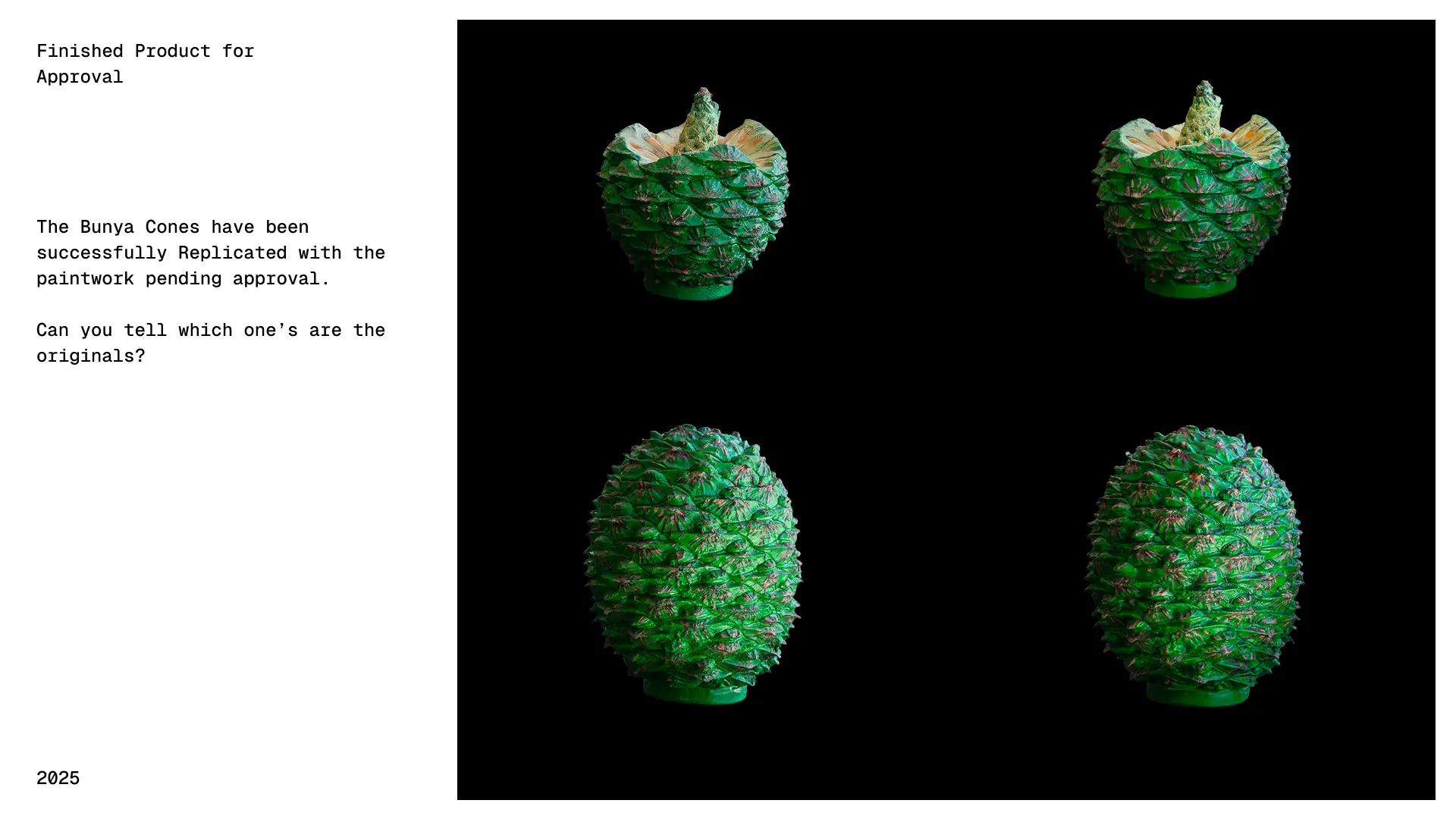 Painted bunya cone replicas and reference cones presented for finish review