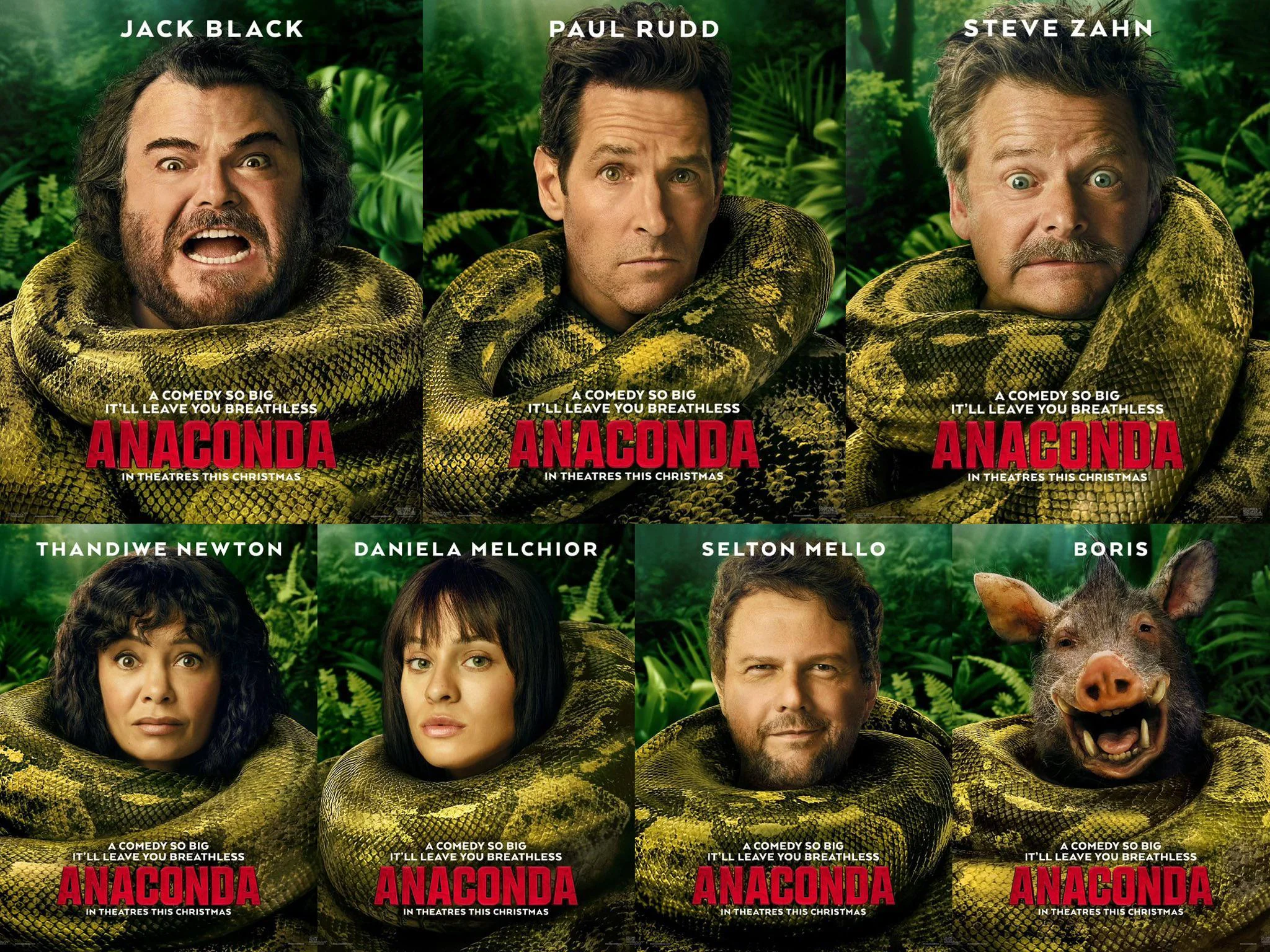 Anaconda